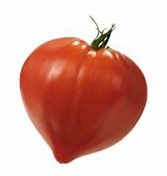Tomate Coeur D'antan